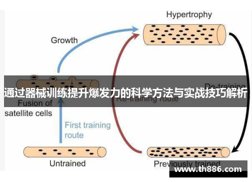 通过器械训练提升爆发力的科学方法与实战技巧解析